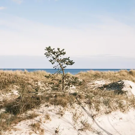 Dunes Camp Campo de lujo Neksø