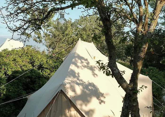 Lüks kamp alanı Dunes Camp *