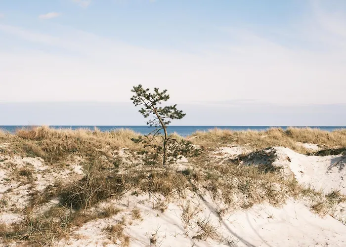 Eco Camp 럭셔리텐트 넥소